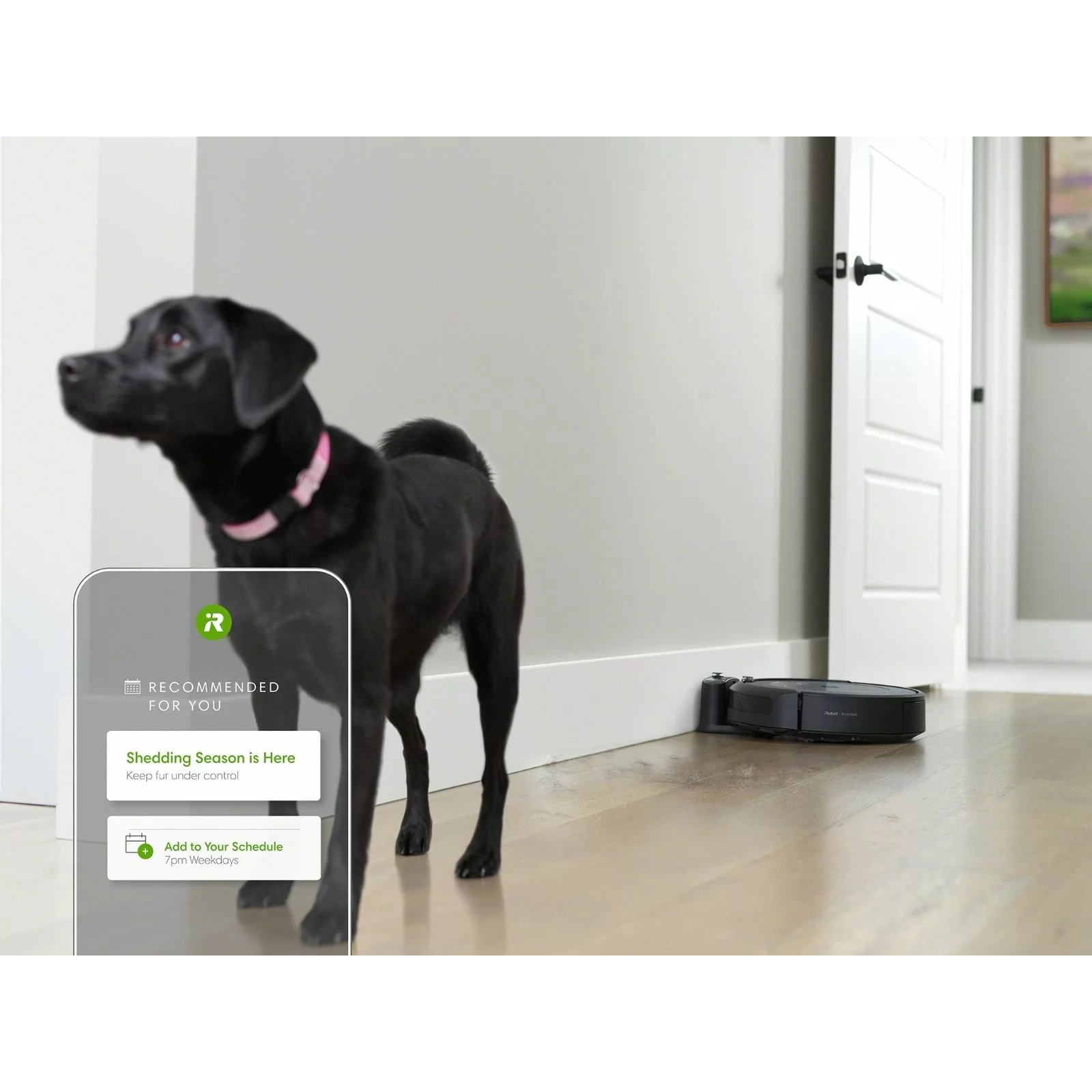 iRobot Roomba i3 Robot Vacuum 3 Stage Cleaning System - 10x the Power Lifting Suction - Reactive Sensor Technology