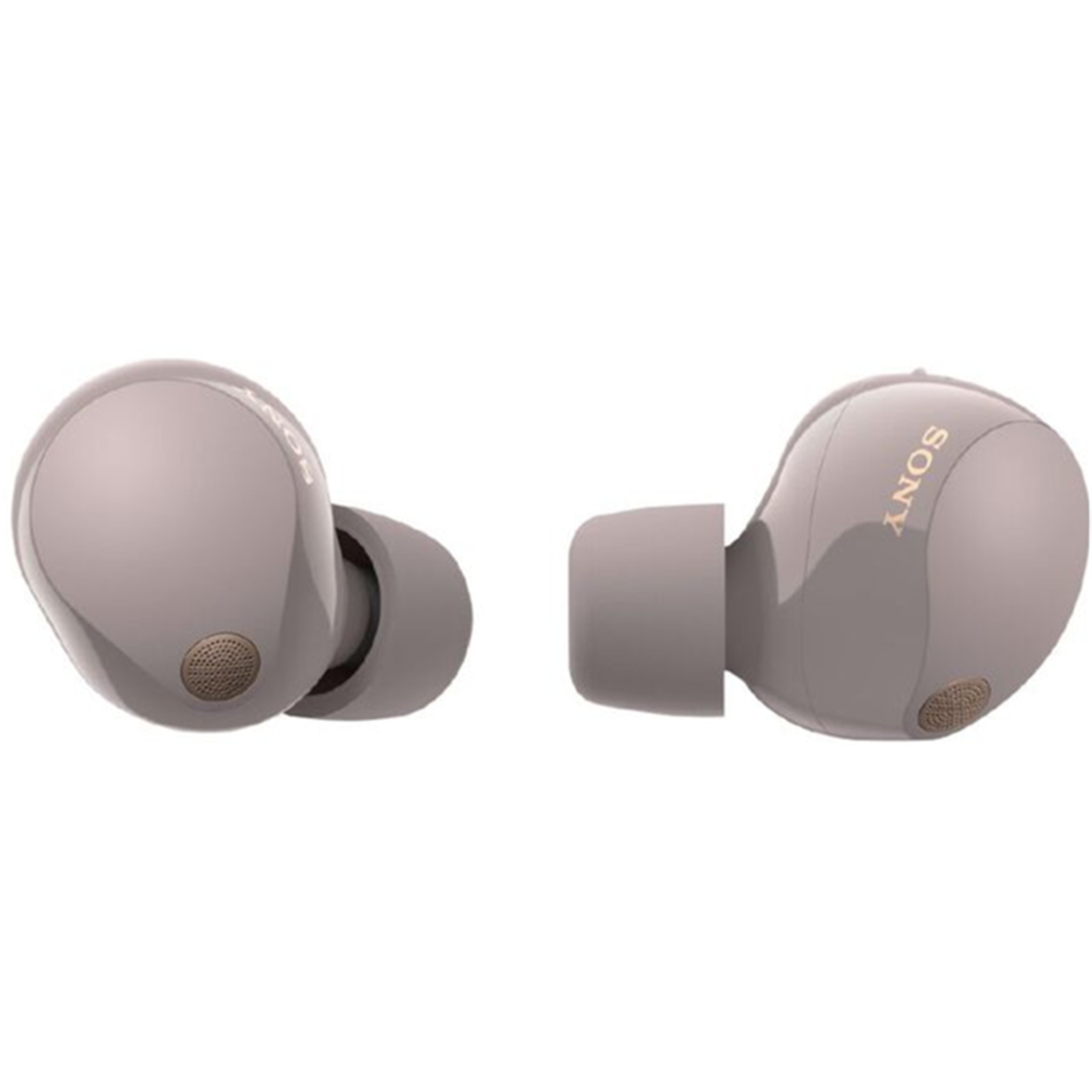 Buy the Sony WF-1000XM5 True Wireless Noise Cancelling In-Ear