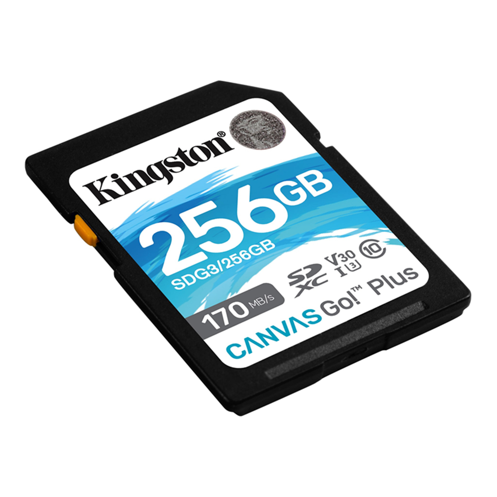 Buy the Kingston Canvas Go Plus SD Memory Card 256GB UHS-I