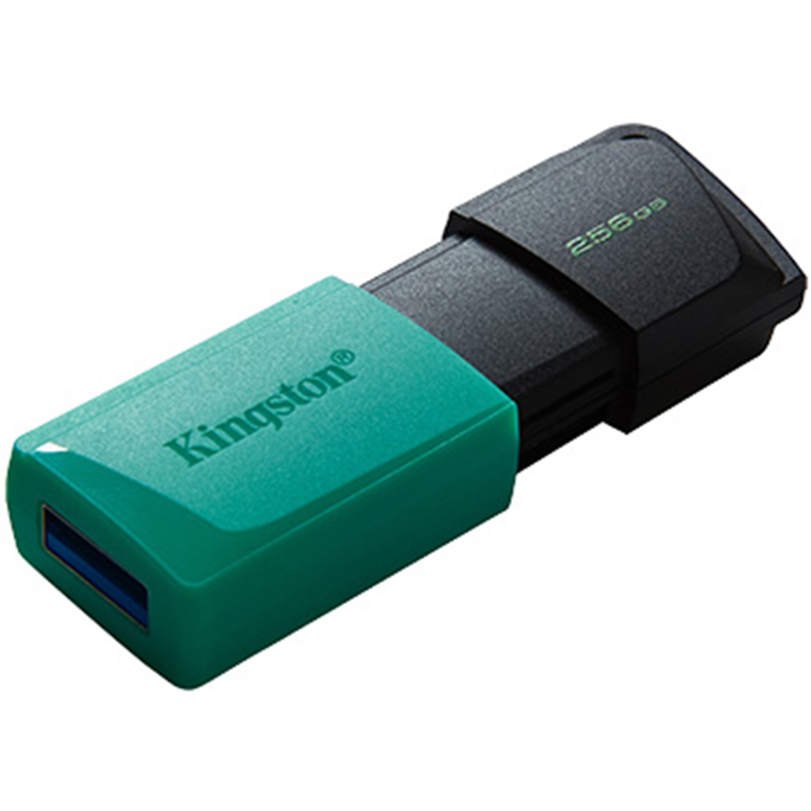 Buy the Kingston DTXM 256GB USB Flash Drive 3.2 Gen 1 256GB with Moving