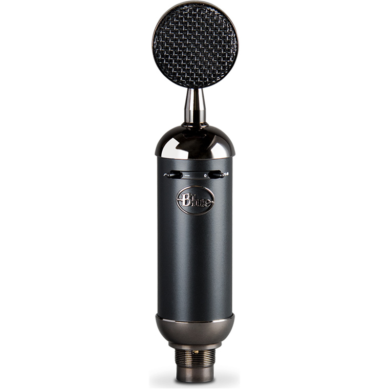 Buy the BLUE Spark Blackout SL XLR Condenser Microphone for Pro