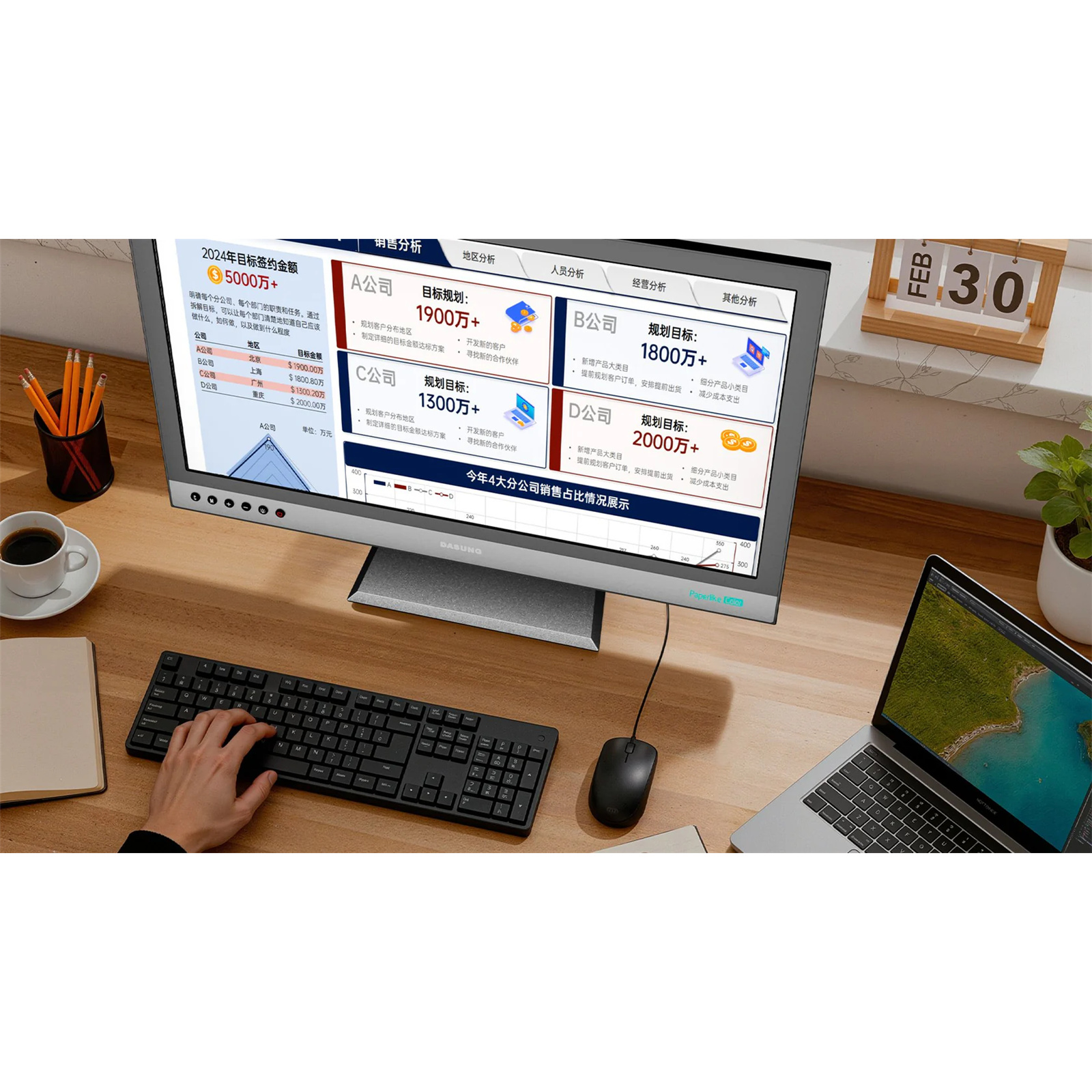 Dasung Paperlike 25.3