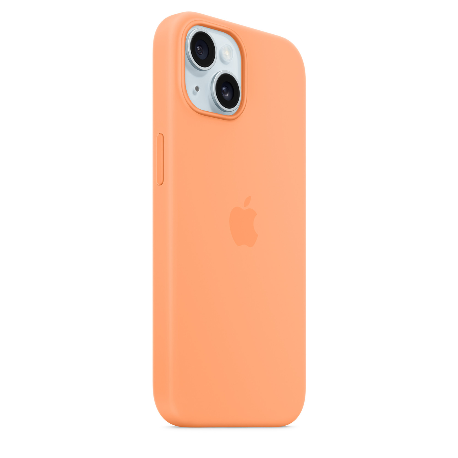 Clementine Orange Orange Silicone Iphone 11 Case Orange Silicone