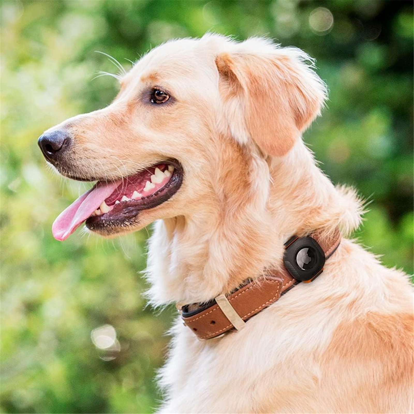 Buy the Spigen Apple AirTag ComforTag Pet Collar Black, Extra Durable