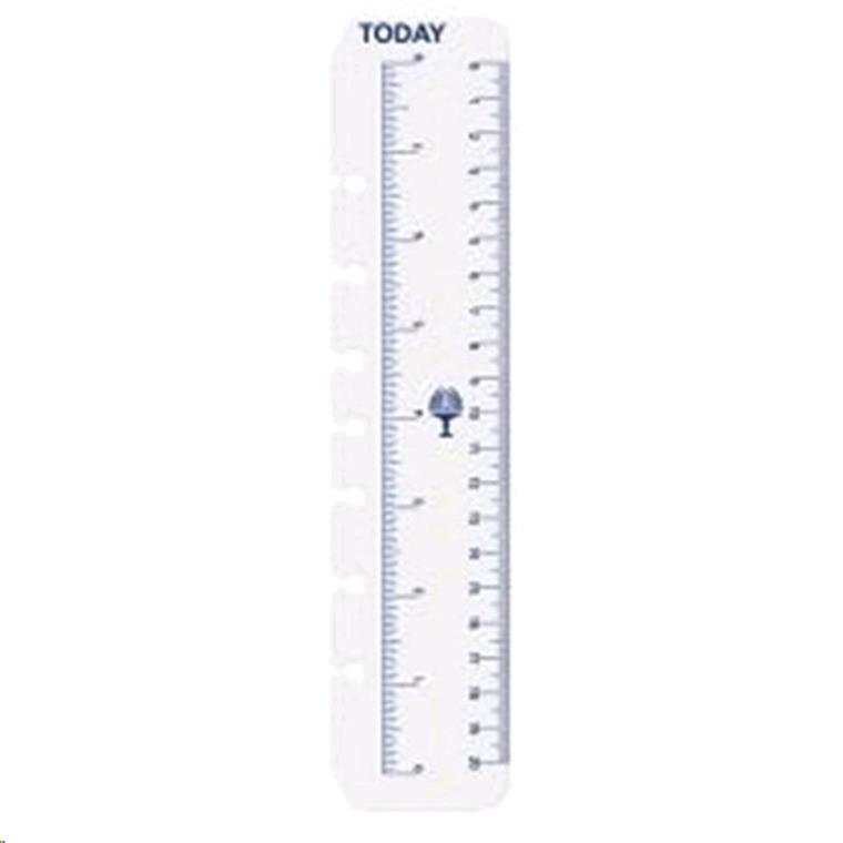 Buy the Dayplanner Refill Dk1008 Today Ruler Pack 2 Desk Edition ...