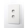 AMDEX FP-2PV3 Dual Port Face Plate AMDEX FP-2PV3 Dual Port Face Plate
