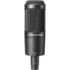 Audio-Technica AT2050 Large Diaphragm Multi-Pattern Condenser Microphone