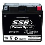 SUPER START R51913 MOTORCYCLE AND POWERSPORTS BATTERY (Y51913) AGM 12V 19AH 320CCA BY SSB HIGHPERFORMANCE
