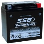 SUPER START RTX14L-BS MOTORCYCLE AND POWERSPORTS BATTERY (RTX14L-BS) AGM 12V 12AH 290CCA BY SSBHIGHPERFORMANCE