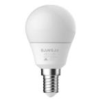 Sansai GL-LG401E LED Bulb G45-5W-E14-Daylight