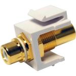 Dynamix AVP-RCA-WH RCA to RCA Keystone Adapter - White Gold Plated