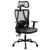 Formula V Line Ergolux 2 Ergonomic Gaming Chair - Black