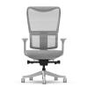 FlexiSpot BS8 Pro Premium Ergonomic WFO & WFH Office Chair - Mesh Backrest & Comfy Cushion Seat, 3D Rotating Armrest, Max Load 150kg FlexiSpot BS8 Pro Premium Ergonomic WFO & WFH Office Chair - Mesh Backrest & Comfy Cushion Seat, 3D Rotating Armrest, Max Load 150kg