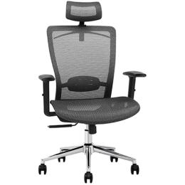 Loctek YZ101 Ergonomic Office Mesh Chair With Backrest and Armrest - Adjustable lifting headrest with Cloth hanger - Passed AS/NZS 4438:1997 NZ Standard For Height adjustable chairs