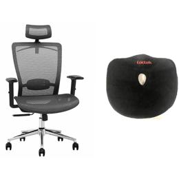 Loctek Ergonomic Sit With YZ101 Ergonomic Mesh Office Chair Bundle, With Backrest and Armrest & Comfy Memory Seat Cushion