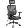 Sihoo M56-301 Ergonomic Home Office Chair