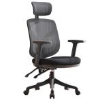 Sihoo M56-301 Ergonomic Home Office Chair