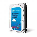 Seagate 2.5" 1TB Constellation.2 SAS 6 Gb/s 7.2K RPM 64M
