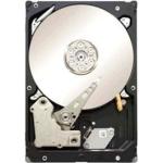 Seagate Constellation ES 2TB SATA 6G 3.5" HDD 7200RPM (ST2000NM0011)