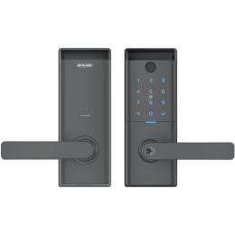 Schlage Ascent Smart Entrance Lever Lock - Graphite Fingerprint / Keyboard / Key Tag / App Control / (Remote Access Using Schlage WiFi Bridge BZ100 Sold Separately)