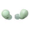 Sony WF-C700N True Wireless Noise Cancelling In-Ear Headphones - Sage Green Active Noise Cancellation - Ambient Sound Mode - Google Fast Pair - Windows Swift Pair - Clear calls with Wind Noise Reduction - Bluetooth 5.2