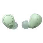 Sony WF-C700N True Wireless Noise Cancelling In-Ear Headphones - Sage Green Active Noise Cancellation - Ambient Sound Mode - Google Fast Pair - Windows Swift Pair - Clear calls with Wind Noise Reduction - Bluetooth 5.2