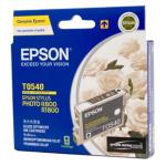 Epson Genuine T0540 Gloss Ink Cartridge 440 Pages 5% on A4 Size - R800 R1800