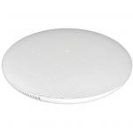 Grandstream GSC3505  GSC3505 SIP Intercom Speaker