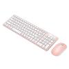 Bonelk KM-322 Wireless Keyboard & Mouse Combo for PC and Mac - Salmon Slim