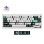 Keychron Q2H-P1 Q2 HE 65% QMK Wireless Fully Assembled Knob Shell White Gateron Double-Rail Magnetic Nebula Switch Custom Keyboard