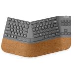 Lenovo Go Wireless Split Keyboard-US English