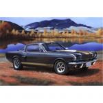 Revell - 1/24 - Shelby Mustang GT 350H