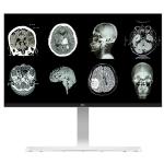 LG 27HJ712C-W 27" 8MP 4K Clinical Review Monitor