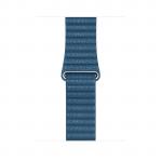 Apple 44mm Cape Cod Blue Leather Loop - Medium