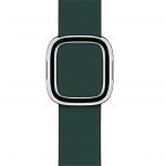 Apple 40mm Forest Green Modern Buckle Band - Small