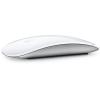 Apple Magic Mouse ( Lightning Port ) Come with USB-C to Lightning charging Cable