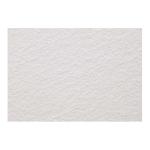 Clairefontaine 93421C Etival Cold Press Paper 56x76cm 200g - Pack of 10
