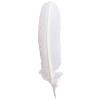 Herbin 23101T  Goose Quill 28cm White