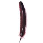 Herbin 23126T  Goose Quill 28cm Burgundy