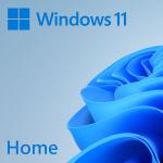 Microsoft Windows 11 Home 64bit OEM Eng Intl 1PK DSP OEI DVD for new system only