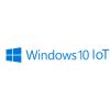 Microsoft Windows10 IoT enterprise 64bit OEM Sticker, LTSC MultiLang ESD OEI for i3/i5 CPU,  label only , w/o media