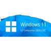 Microsoft Win 11 IoT Ent LTSC 2024 ESD OEI High End for i7 CPU and higher