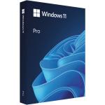 Microsoft Windows 11 Professional 64-bit English USB
