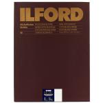 ILFORD 1168914  Multigrade RC Warmtone Pearl 12x16" Darkroom Paper 10 Sheets MGRCWT44M