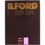 ILFORD 1169016 Multigrade FB Warmtone 1K Glossy 12x16" 10 Sheets Darkroom Paper MGFBWT1K