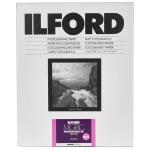 ILFORD 1180080  Multigrade Deluxe Gloss 16x20" 50 Sheets Darkroom Paper MGRCDL1M