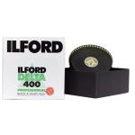 ILFORD 1765829  Delta 400 ISO PROFESSIONAL 35mm Black & White Film - 24 Exposures