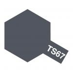 Tamiya TS-67 Spray Paint for Plastics - IJN Grey - Saesbo - 100ml