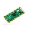 Raspberry Pi Pico Microcontrollers Board - Pico, Single Pack Raspberry Pi Pico Microcontrollers Board - Pico, Single Pack