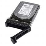 Dell 1TB Internal HDD SAS 6Gb/s - 7200 RPM - SFF - DP - R/T-Series Tray - SPN